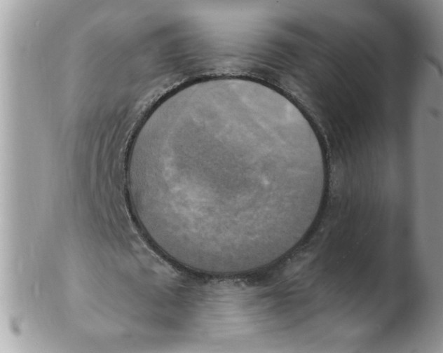 X0000102410673200808221912