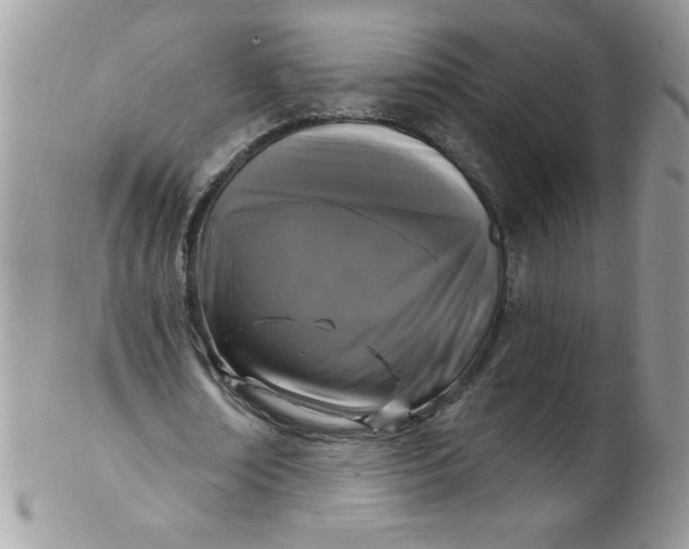 X0000102410674200808221912