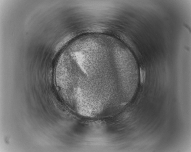 X0000102410675200808221912