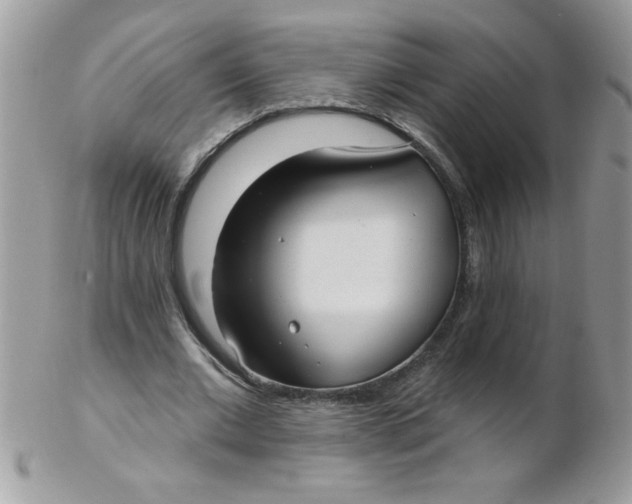 X0000102410677200808221912