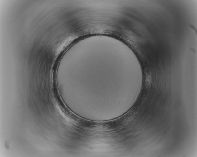 X0000102410678200808221912