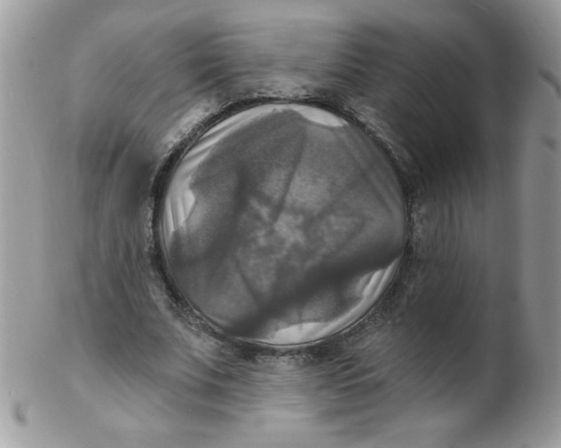 X0000102410679200808221912