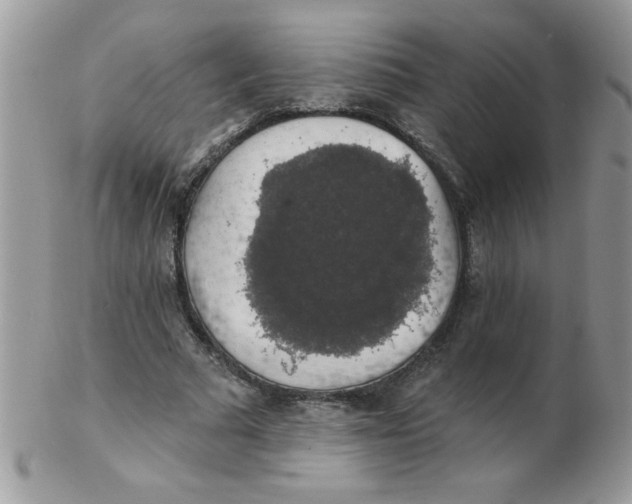 X0000102410681200808221912