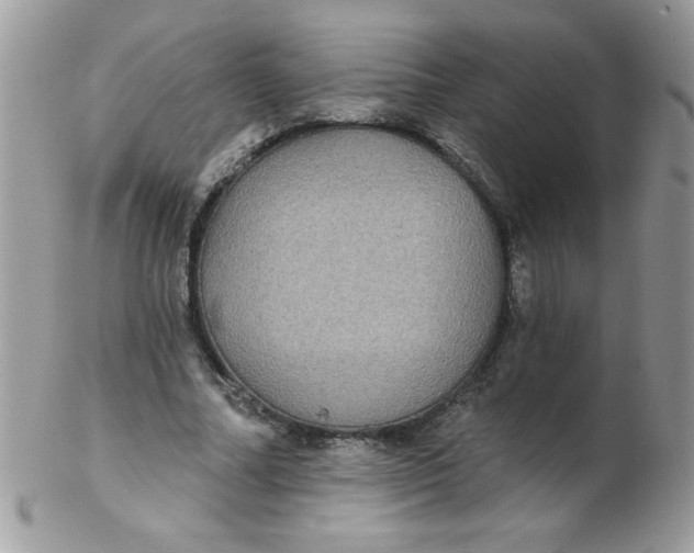 X0000102410682200808221912