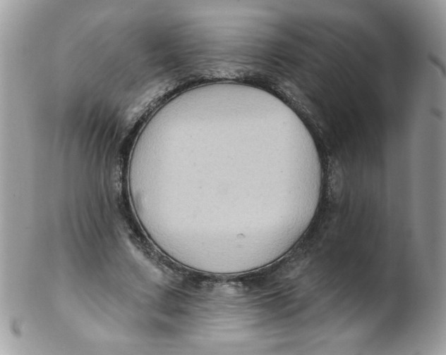 X0000102410683200808221912