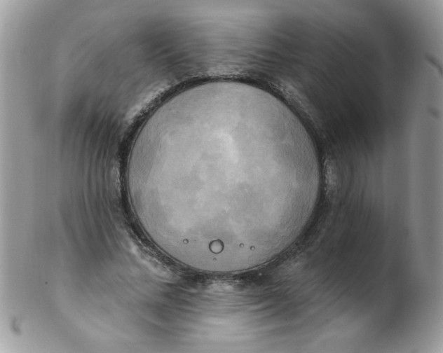 X0000102410684200808221912