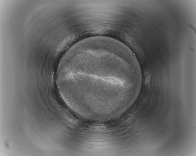 X0000102410685200808221912