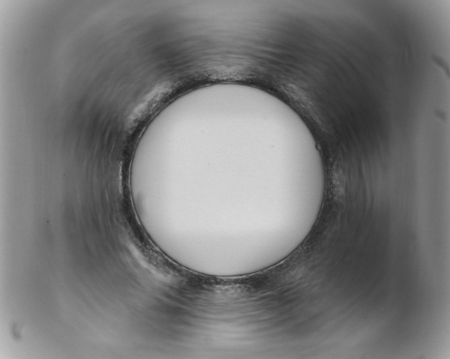 X0000102410686200808221912