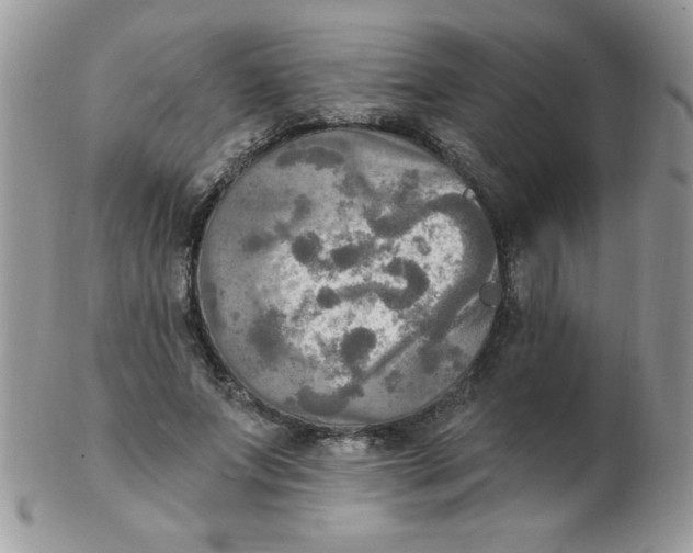 X0000102410687200808221912