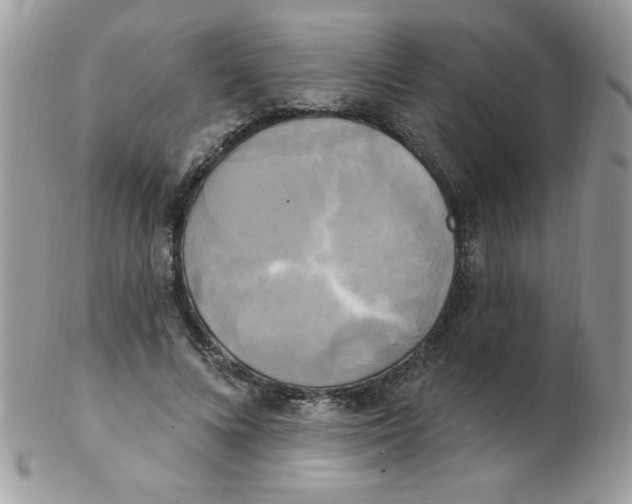 X0000102410688200808221912