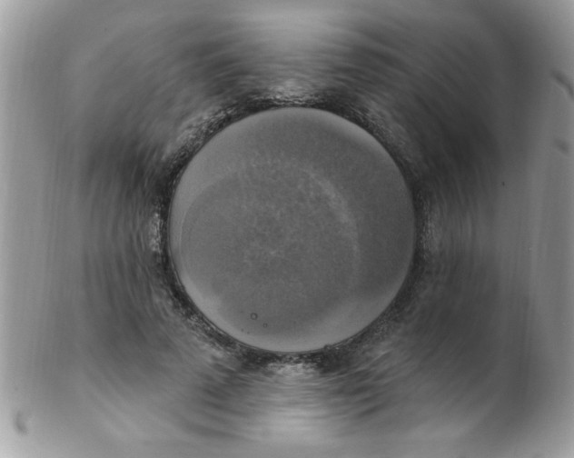 X0000102410689200808221912