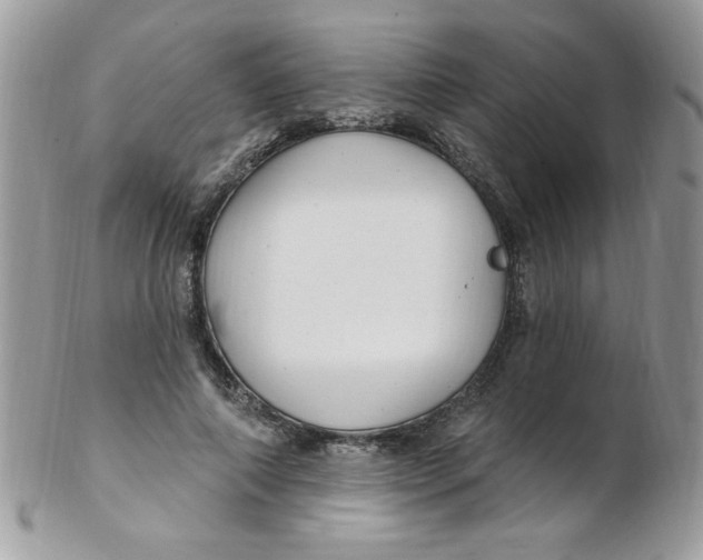 X0000102410690200808221912