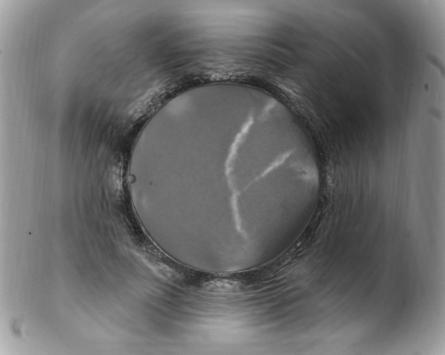 X0000102410691200808221912