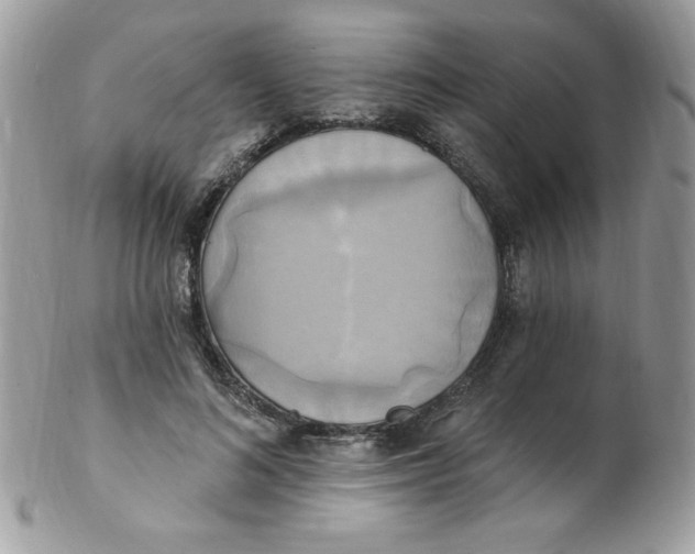 X0000102410692200808221912