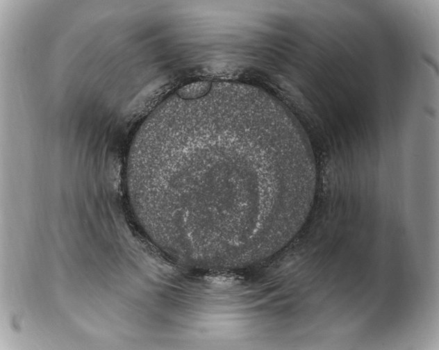 X0000102410693200808221912