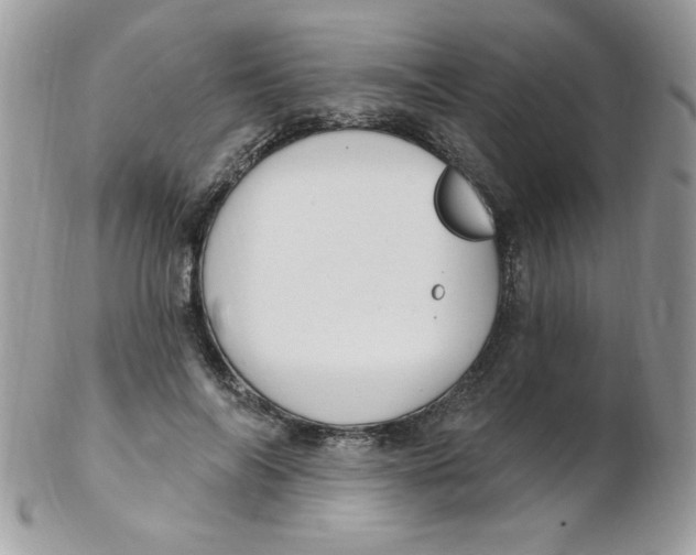 X0000102410694200808221912