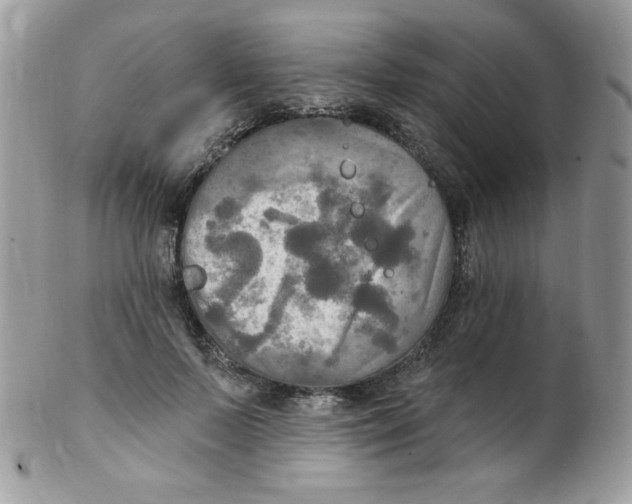 X0000102410695200808221912