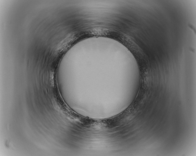 X0000102410696200808221912