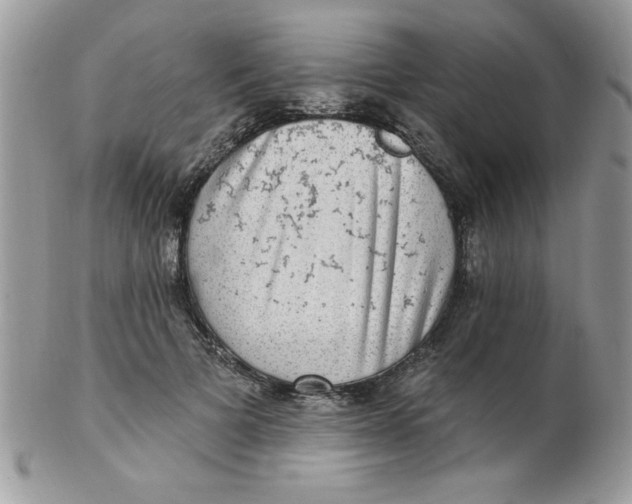 X0000102410697200808221912