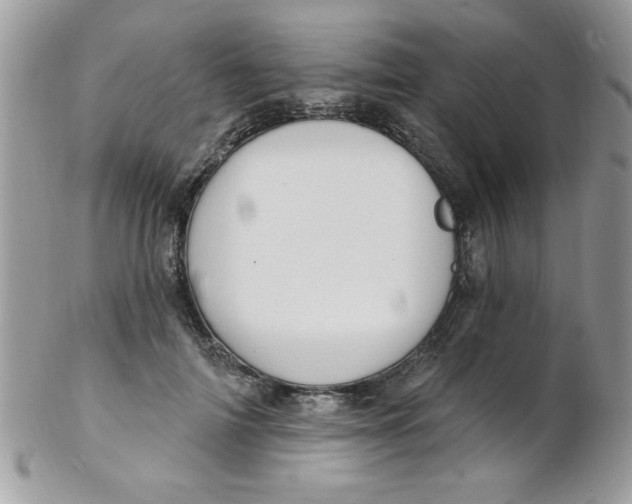 X0000102410698200808221912