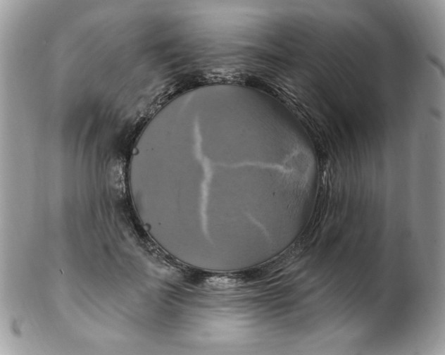 X0000102410699200808221912