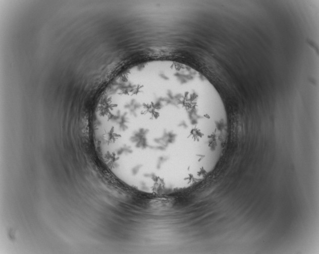 X0000102410700200808221912