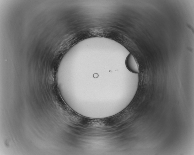 X0000102410702200808221912