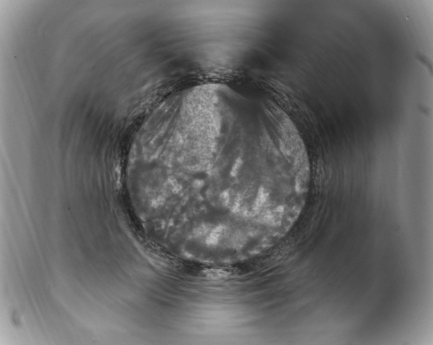 X0000102410703200808221912