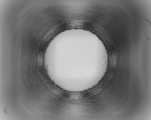 X0000102410705200808221912