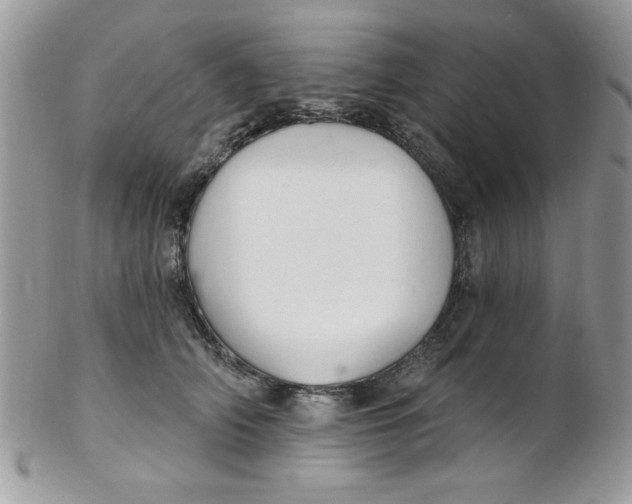 X0000102410706200808221912