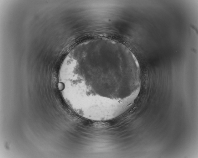 X0000102410707200808221912