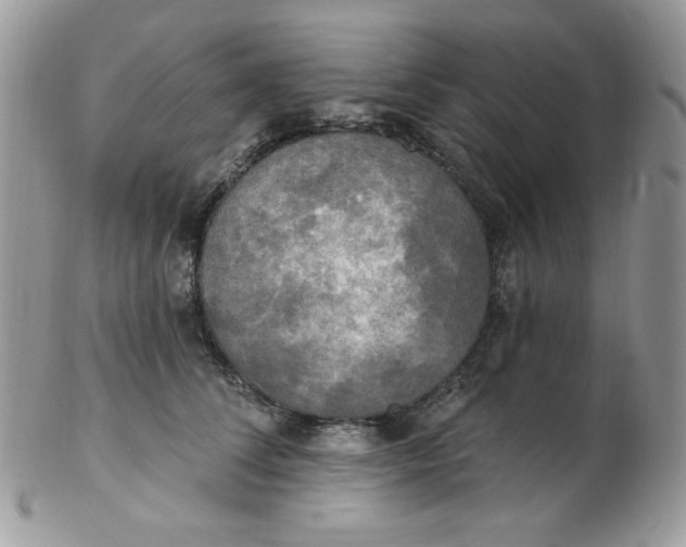 X0000102410708200808221912