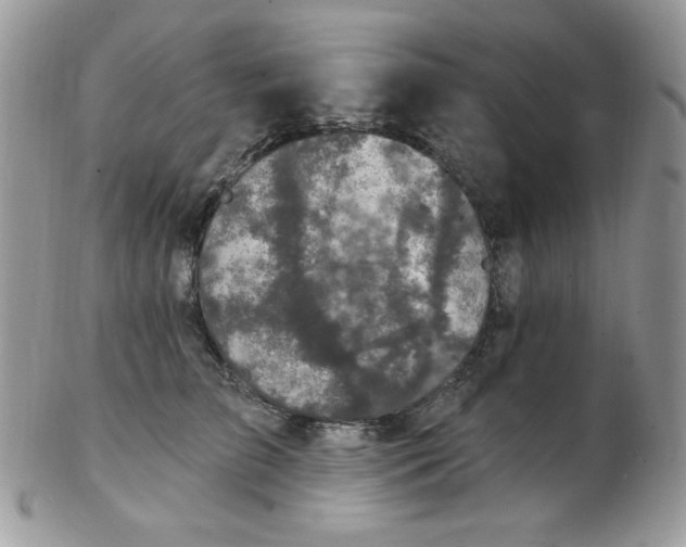 X0000102410709200808221912