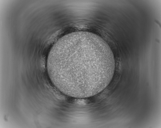 X0000102410710200808221912