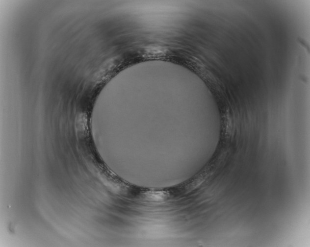 X0000102410711200808221912