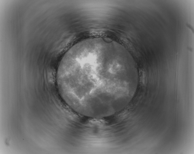 X0000102410712200808221912