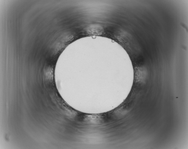 X0000102410713200808221911