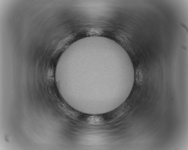 X0000102410714200808221911