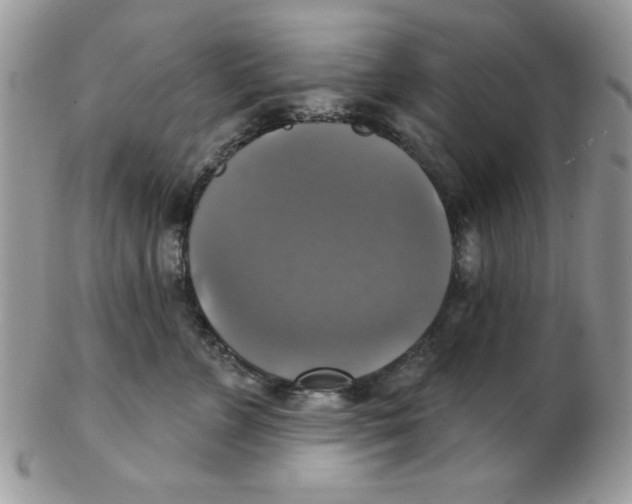 X0000102410715200808221911