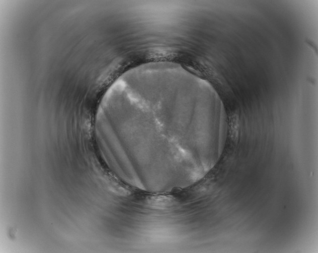 X0000102410716200808221911