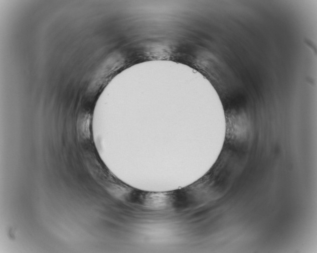 X0000102410717200808221911