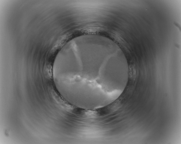 X0000102410718200808221911