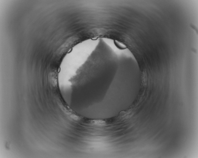 X0000102410719200808221911