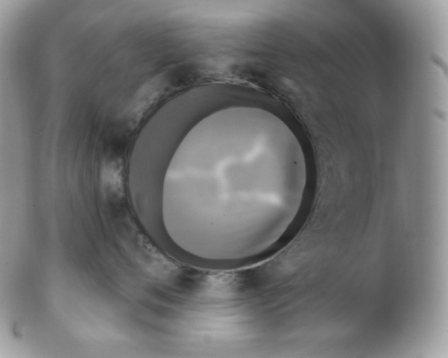 X0000102410720200808221911