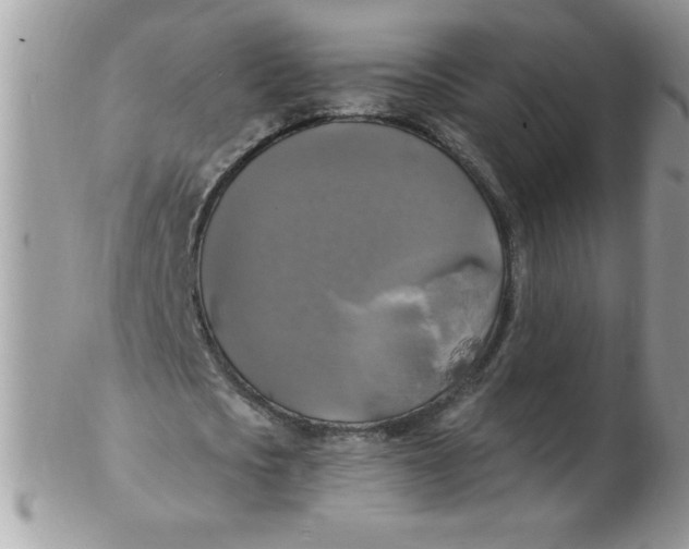 X0000102410721200808221911