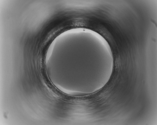 X0000102410722200808221911