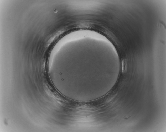 X0000102410723200808221911