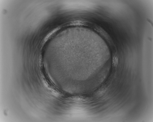 X0000102410724200808221911