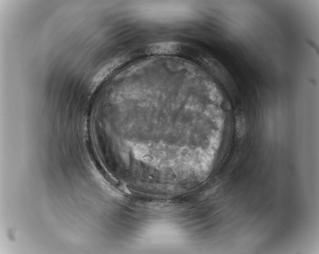 X0000102410725200808221911