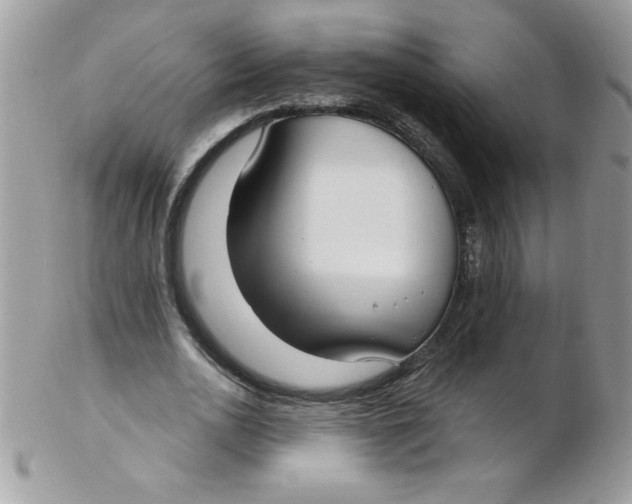 X0000102410726200808221911